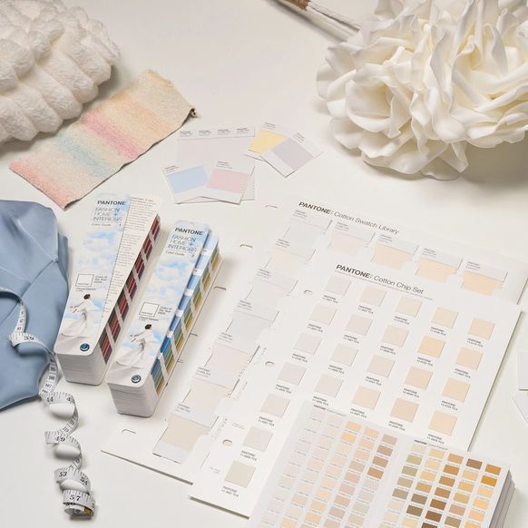 Довідник PANTONE TPG Fashion Home + Interiors + Dualities Color of the Year 2026 - Limited Edition FHIP110COY26 головна фотографія