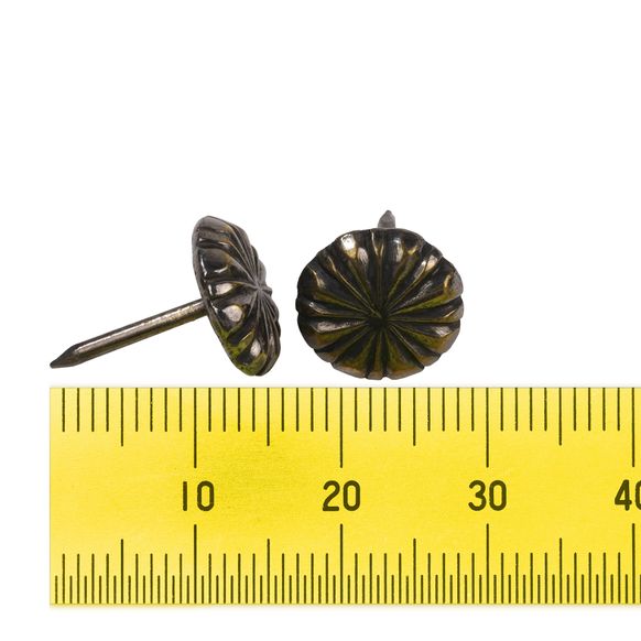 Декоративні цвяхи Цитрус 12,0 мм (25 шт.) головна фотографія