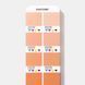 Довідник PANTONE CMYK Set Coated & Uncoated для поліграфічних та дизайнерських робіт GP5101C фото товару з галереї